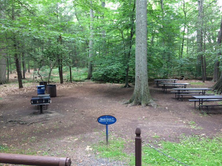 Picnic Areas Wickham Park